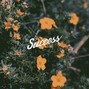Trippy - Success | J Cole Type Beat 2019