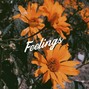 Trippy - Feelins | J Cole x Kendrick Lamar Type Beat 