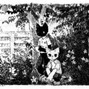 snorkatje - IsItTho (170, Ab mj)