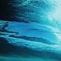 Falcon - Dive
