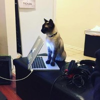 $omedude