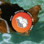 MNTRY - Bounce Back