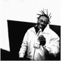 FanoBee - Nites in Shaolin