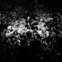 MVHDI - FAME