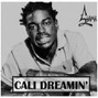 Farris YAMA - Cali Dreaming - Kodak Type
