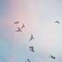 envyjune - fly with you - indie pop type beat g major 170bpm