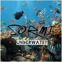 SORMI - UND£RWAT£R (prod. SORMI)