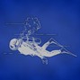 hbR. - Dive