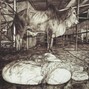 RUSAHR - southwest slaughter