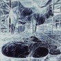 RUSAHR - southwest slaughter