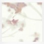 cellarhide - susu