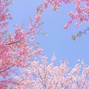 JayRawri - Nylon