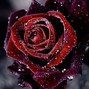 JayRawri - Cherish 