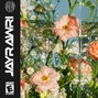 JayRawri - Fluorescent