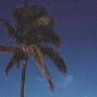 Sammuei - indie pop x indie rock type beat | "Days of summer"