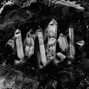prod.a1ejandro8 - Cry$tal