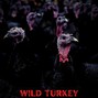 390 Beatz - WILD TURKEY | Griselda x JID x Kota the Friend Type Beat | D