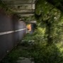 mulade - path
