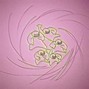 Casino Broadcast - Rola