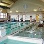 Åndsvage Victor - Ballin at the senior center pool