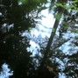 milesdwo - susan 143