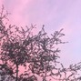 dsmv - c h u m a s h