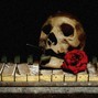 Zwolfgang - Dead Keys