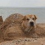 Bobby Ryu - Sandy Beaches