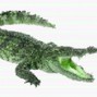 gemm1 - alligator