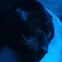 panth3rrrrrr - Say5 Bpm 144