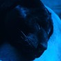 panth3rrrrrr - Justrunnin Bpm 100