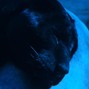 panth3rrrrrr - Dreamin Bpm 125