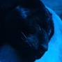 panth3rrrrrr - Codein shower Bpm 131