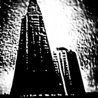44thforest