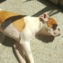 birtdayy - bleood protagonist type beat 