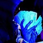 FX - Pride
