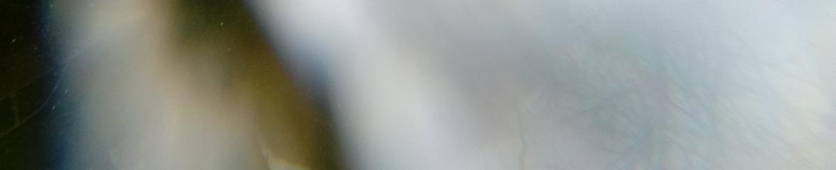 Traktrain banner for @fleece