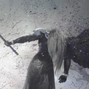 br3xdmxn - breathe c#min 140 @icon @br3xdmxn