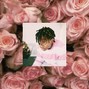 Flexyboy - Roses