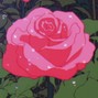 serijo - rose