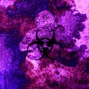 vermin - smacker