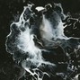 vermin - requiem 