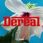 Dereal - Faded