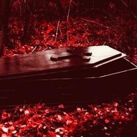 RoseFromThePain
