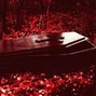 RoseFromThePain - Coffin