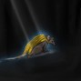 Shrew - *FREE DOWNLOAD* Chaz