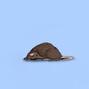 Shrew - *FREE DOWNLOAD* Gud