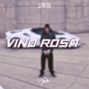Ale jinxh  - Ale Jinxh - Vino Rosa