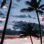 calde - Paradise