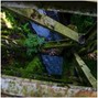 foreverplusone - train creap